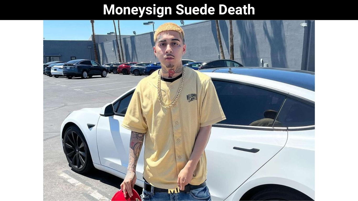 Moneysign Suede Death