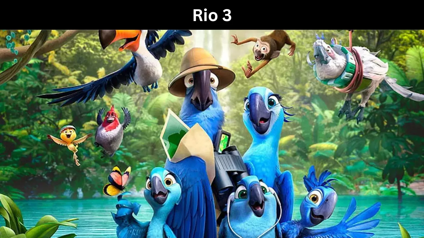 Rio 3