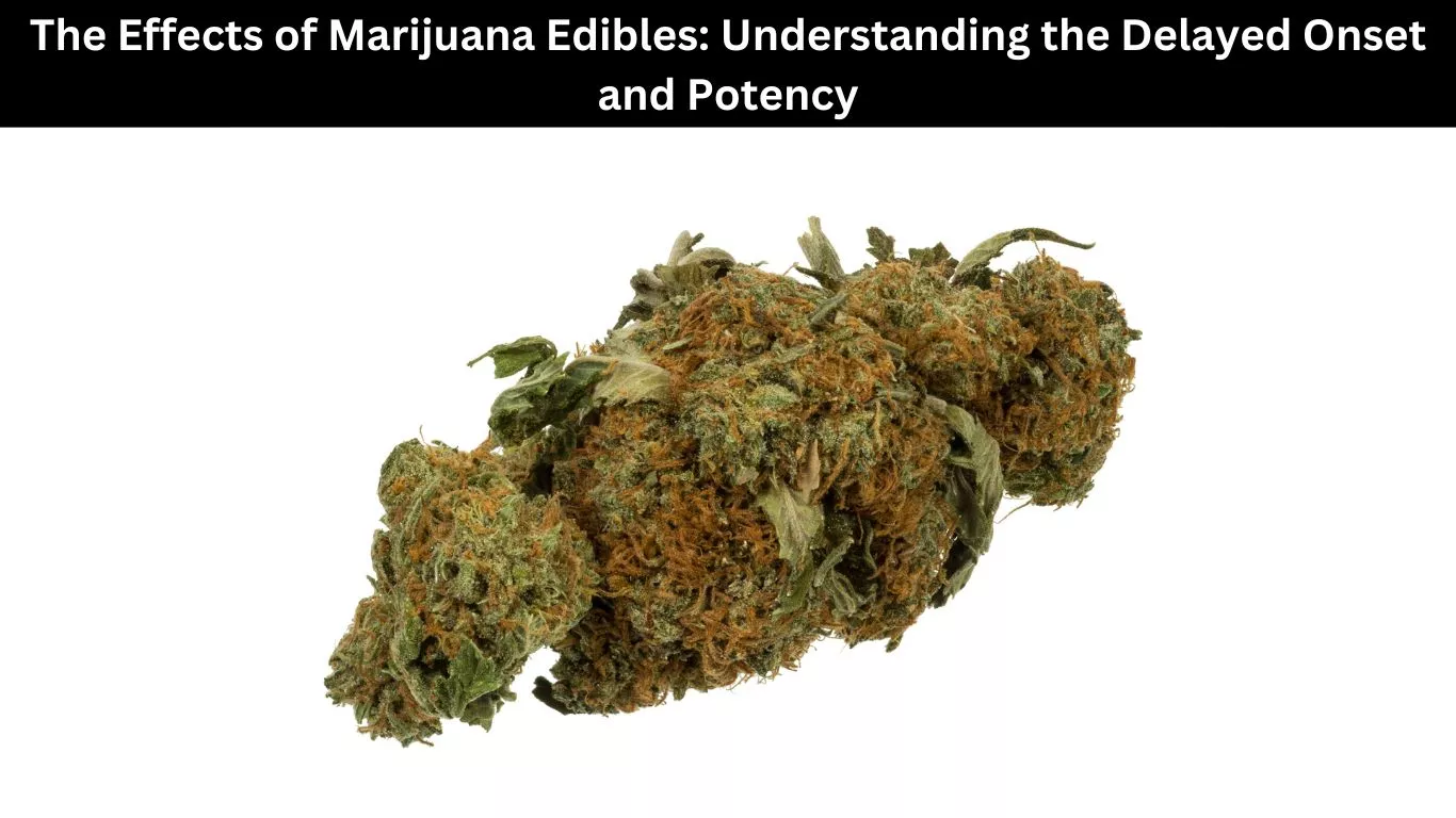 The Effects of Marijuana Edibles