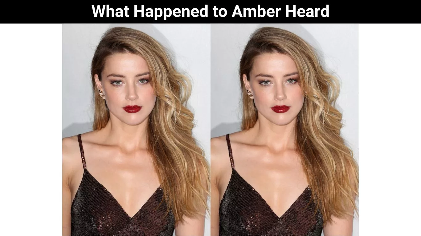 What Happened to Amber Heard
