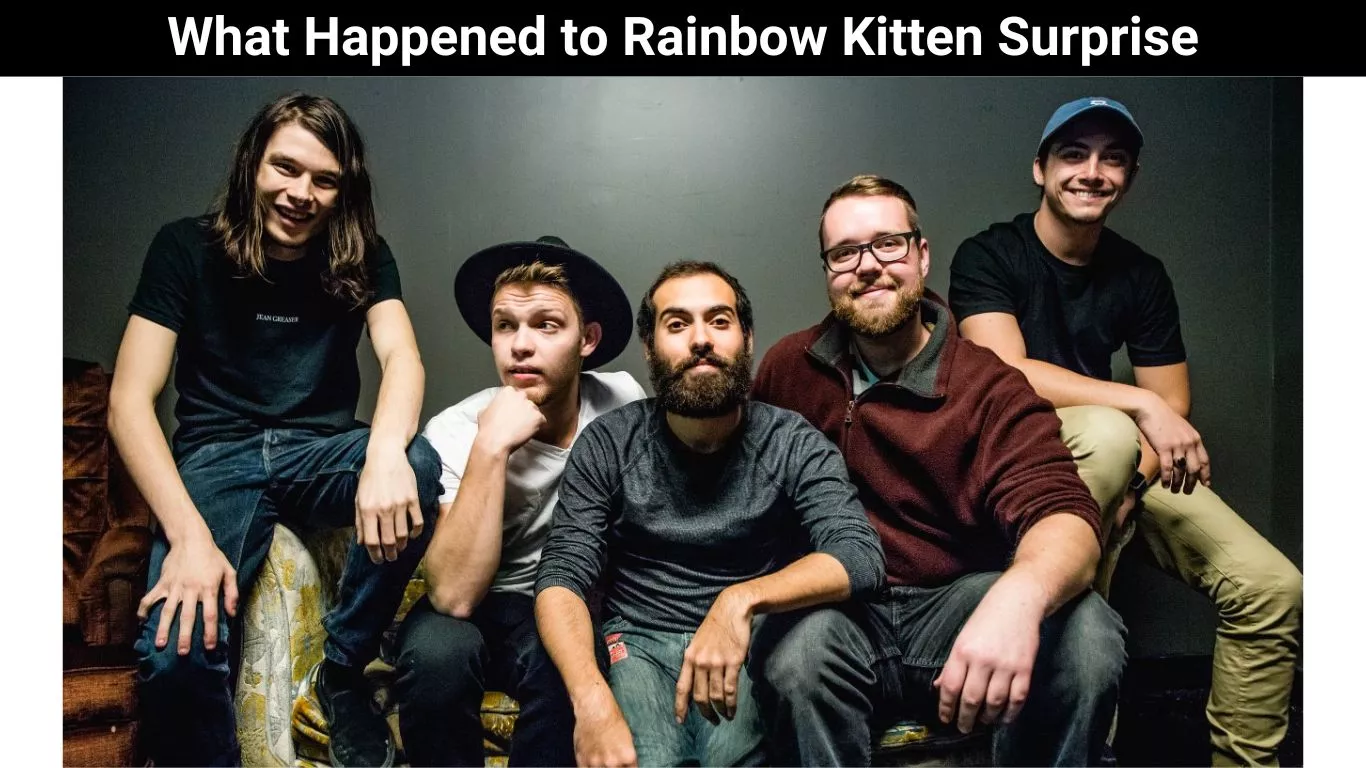 What Happened to Rainbow Kitten Surprise