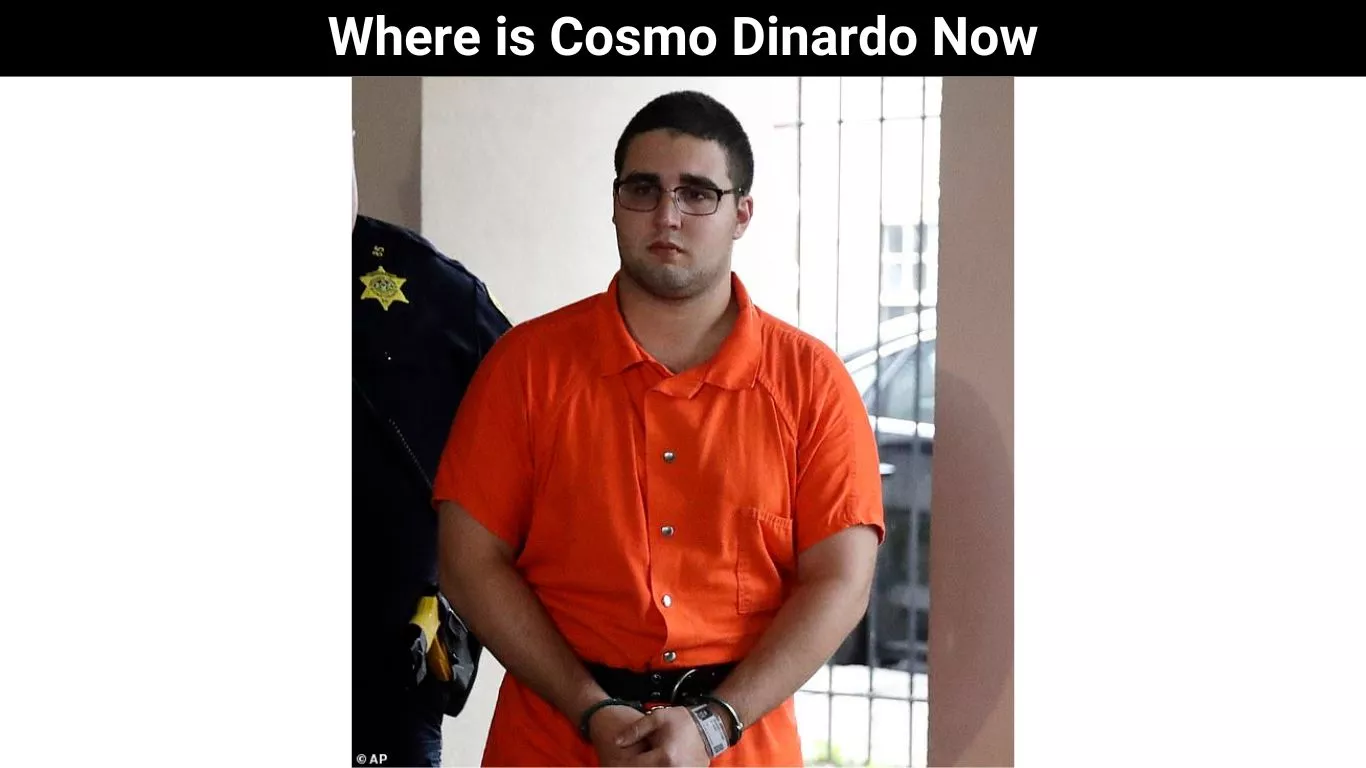 Where is Cosmo Dinardo Now