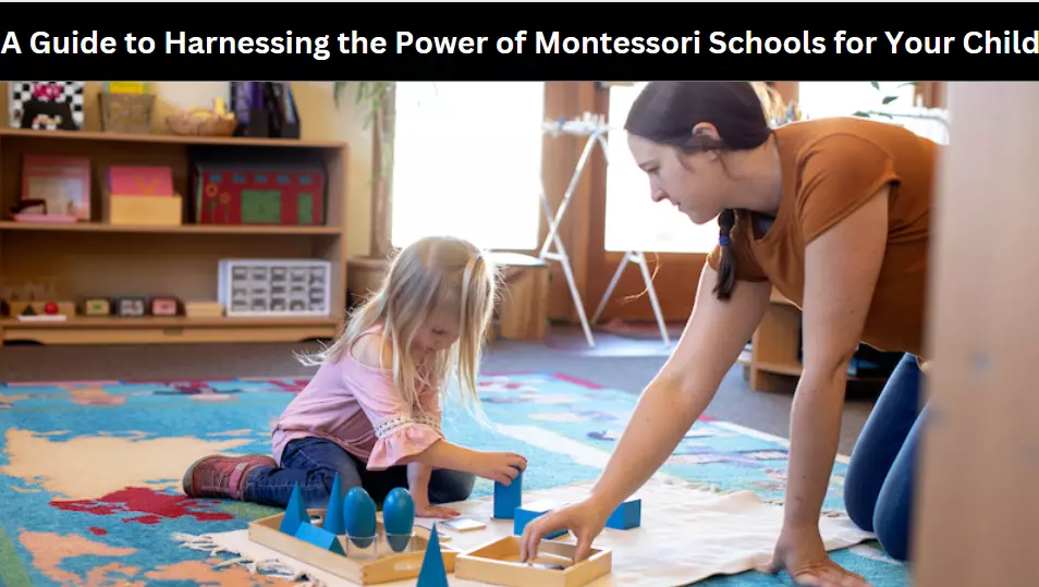 A Guide to Harnessing the Power of Montessori Schools for Your Child
