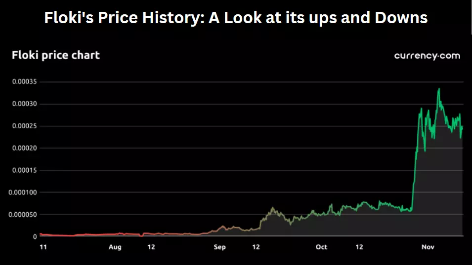 Floki's Price History