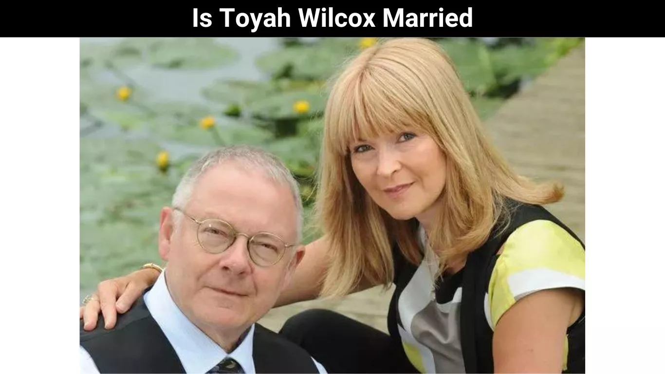 Is Toyah Wilcox Married