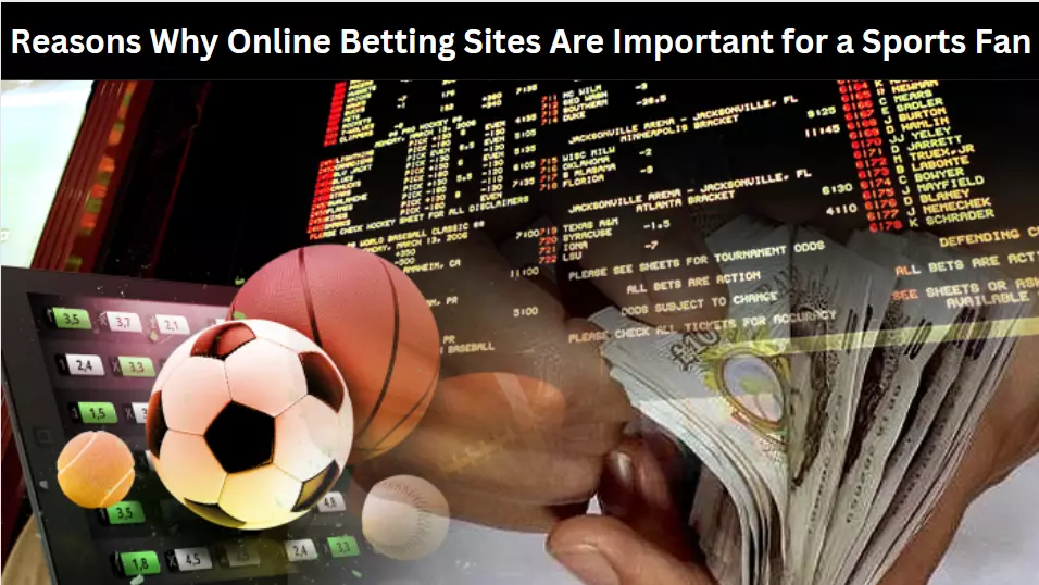 Reasons Why Online Betting Sites Are Important for a Sports Fan