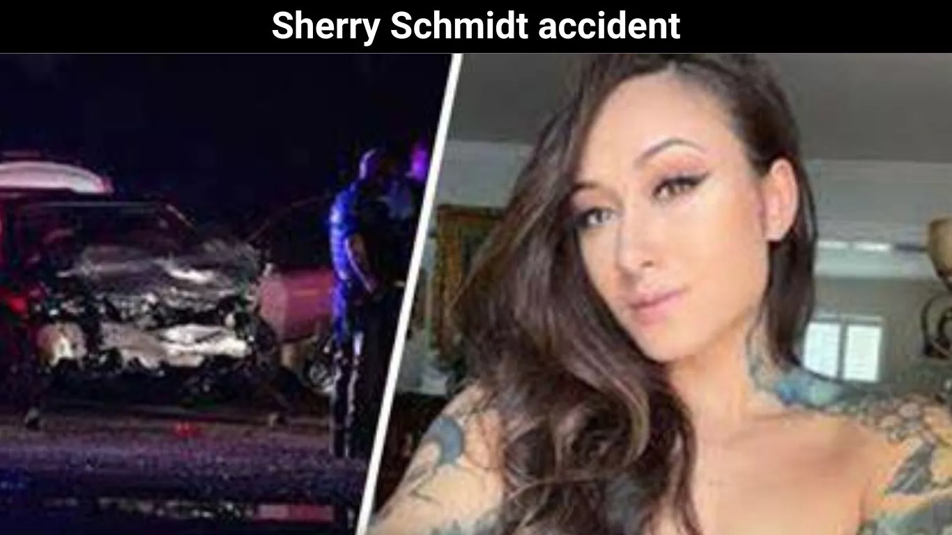 Sherry Schmidt accident
