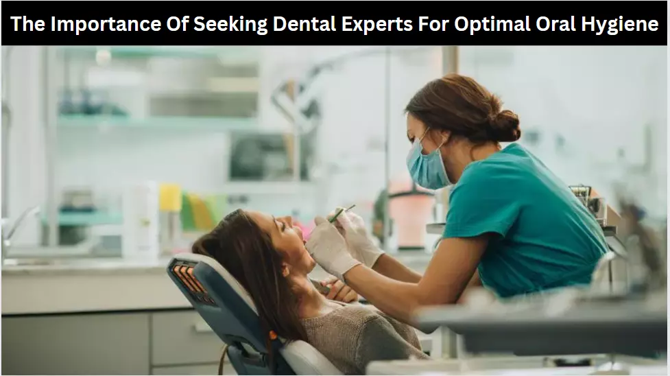 The Importance Of Seeking Dental Experts For Optimal Oral Hygiene