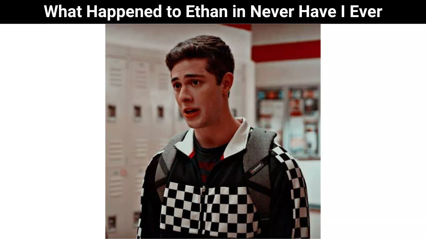 What Happened to Ethan in Never Have I Ever
