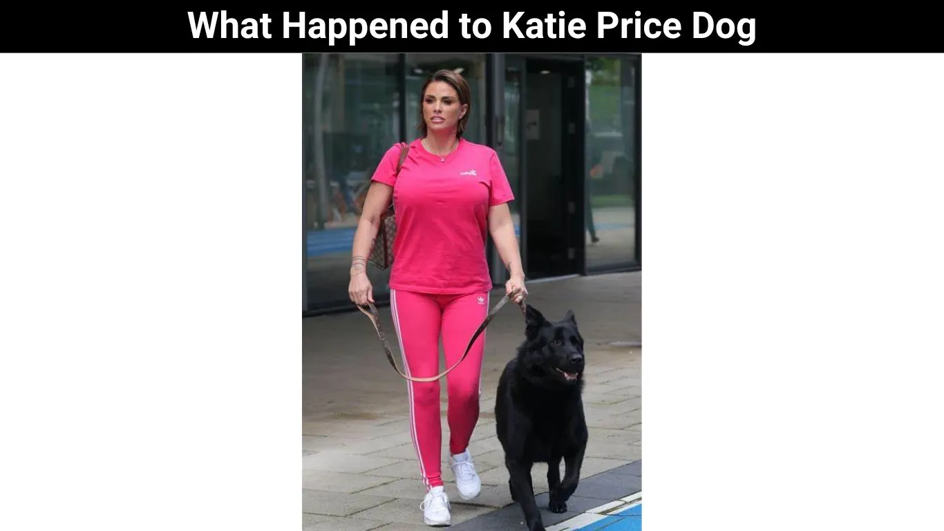 What Happened to Katie Price Dog
