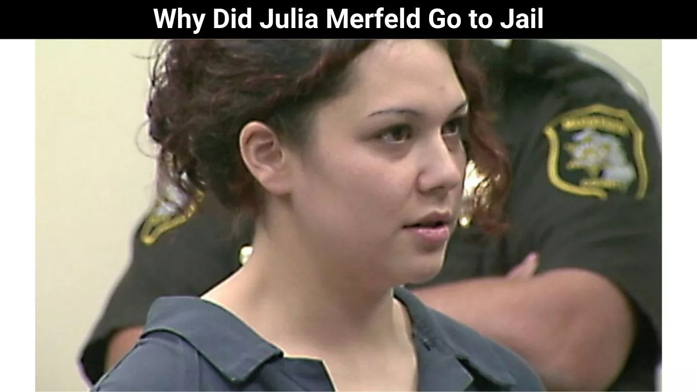Why Did Julia Merfeld Go to Jail