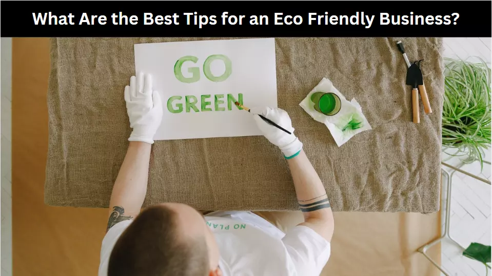 Eco Friendly Business