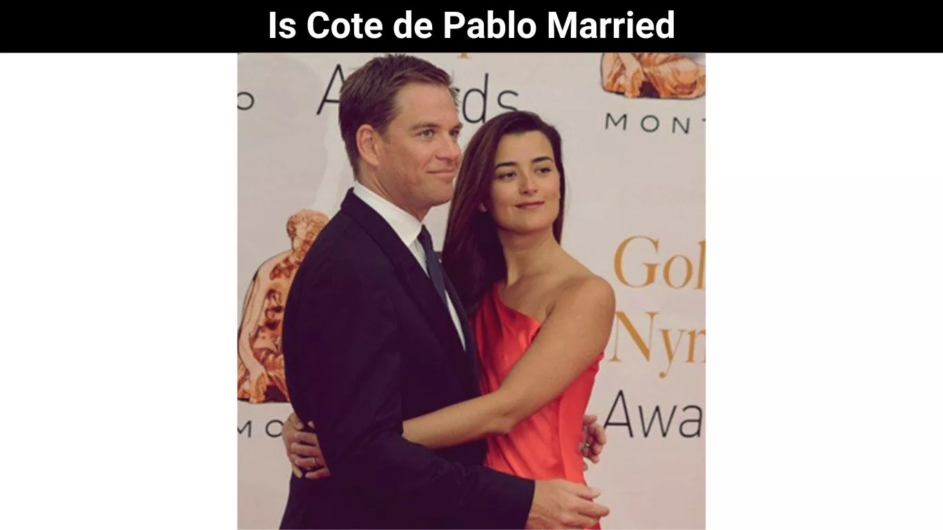 Is Cote de Pablo Married
