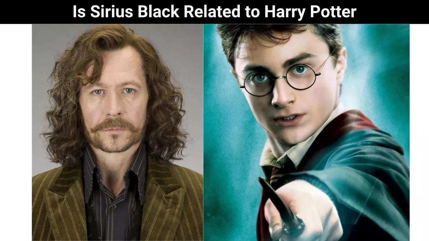 Is Sirius Black Related to Harry Potter