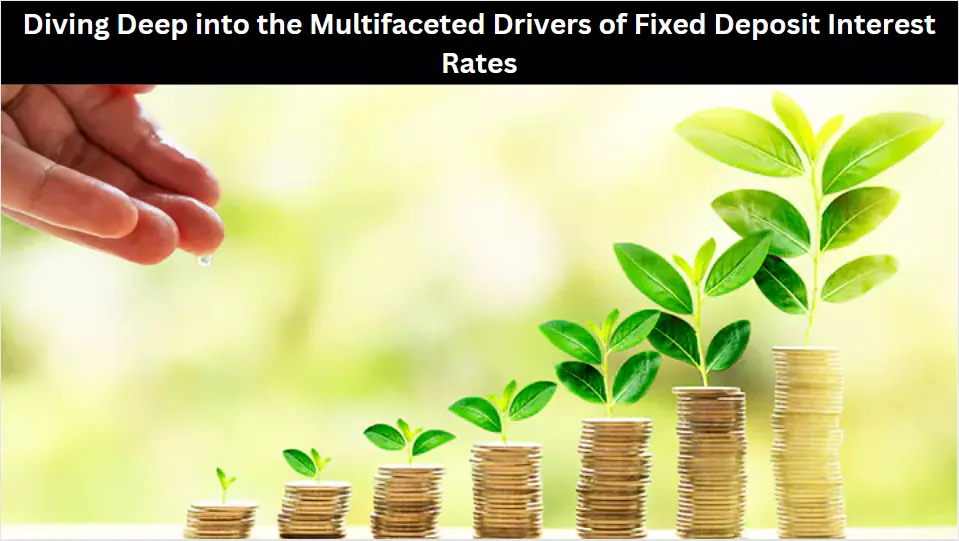 Diving Deep into the Multifaceted Drivers of Fixed Deposit Interest Rates