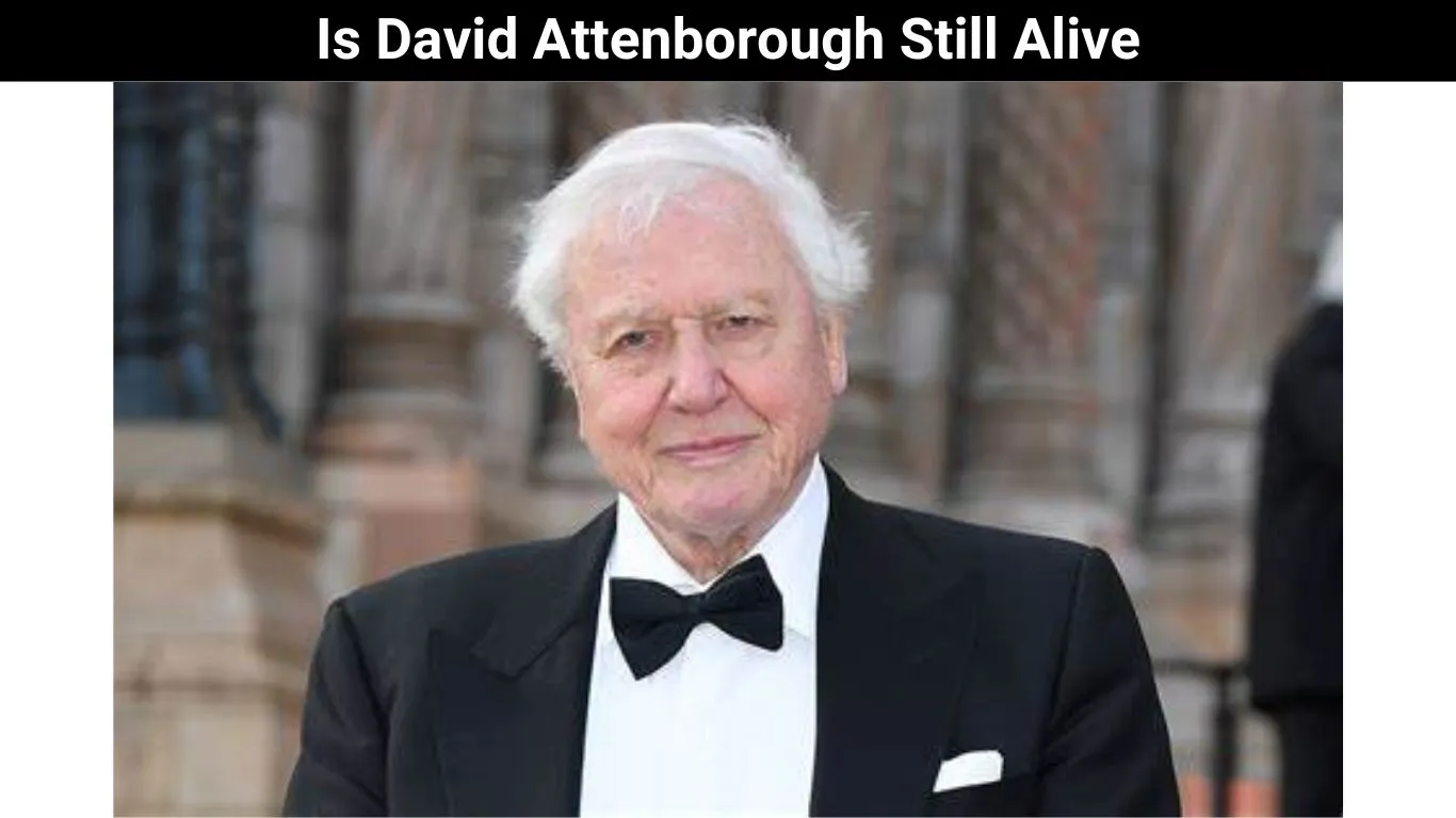 Is David Attenborough Still Alive