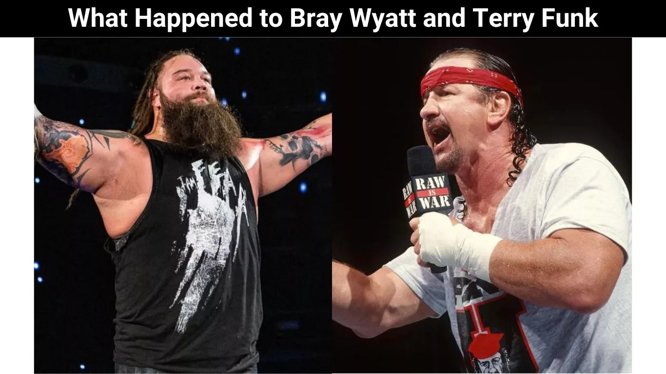 What Happened to Bray Wyatt and Terry Funk