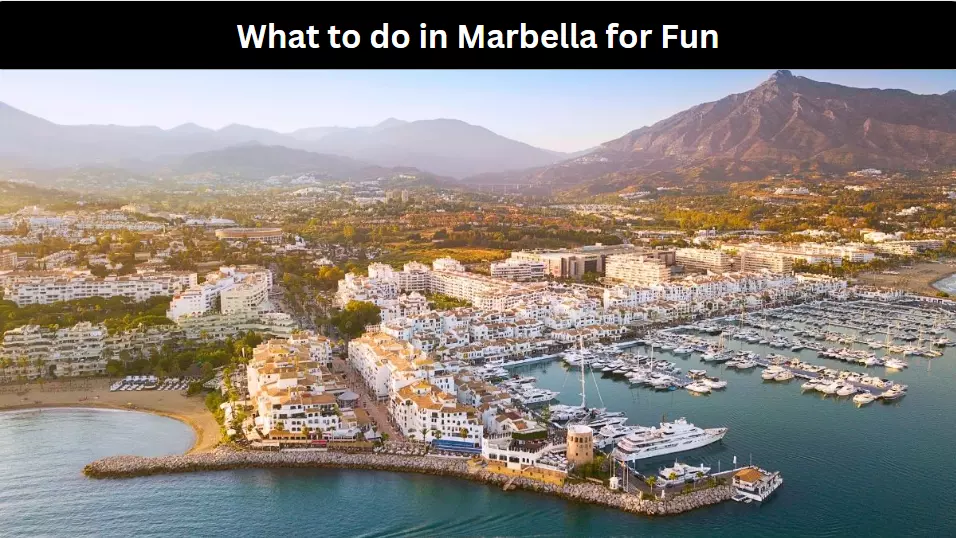 What to do in Marbella for Fun