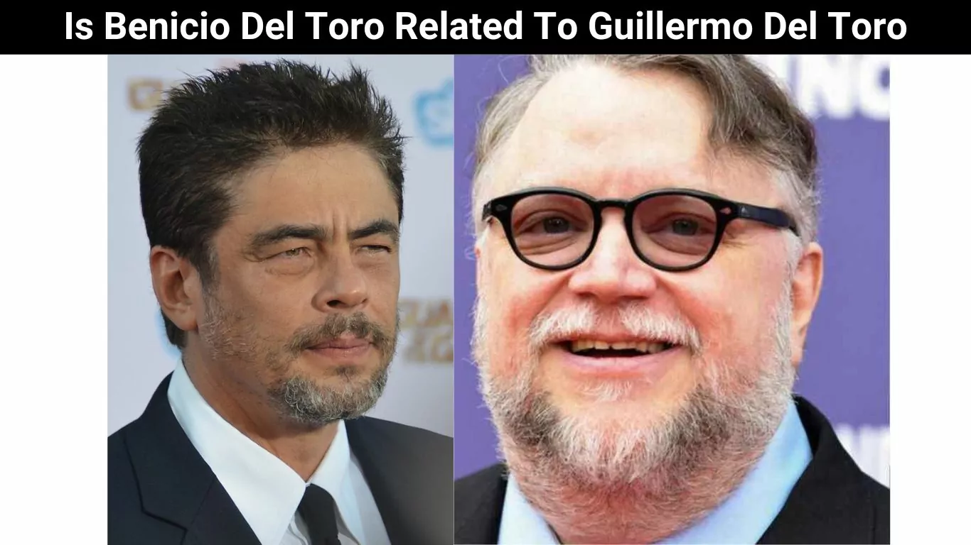 Is Benicio Del Toro Related To Guillermo Del Toro