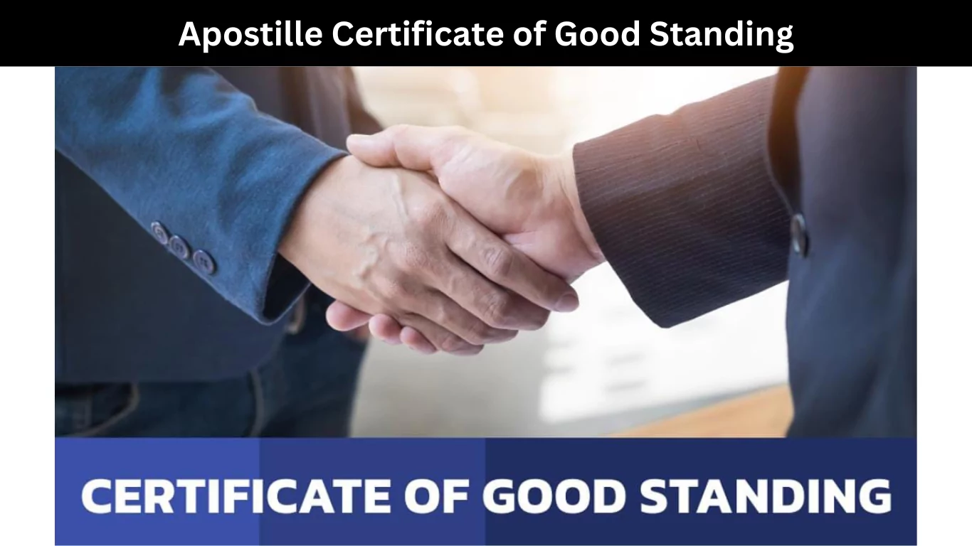 Apostille Certificate of Good Standing