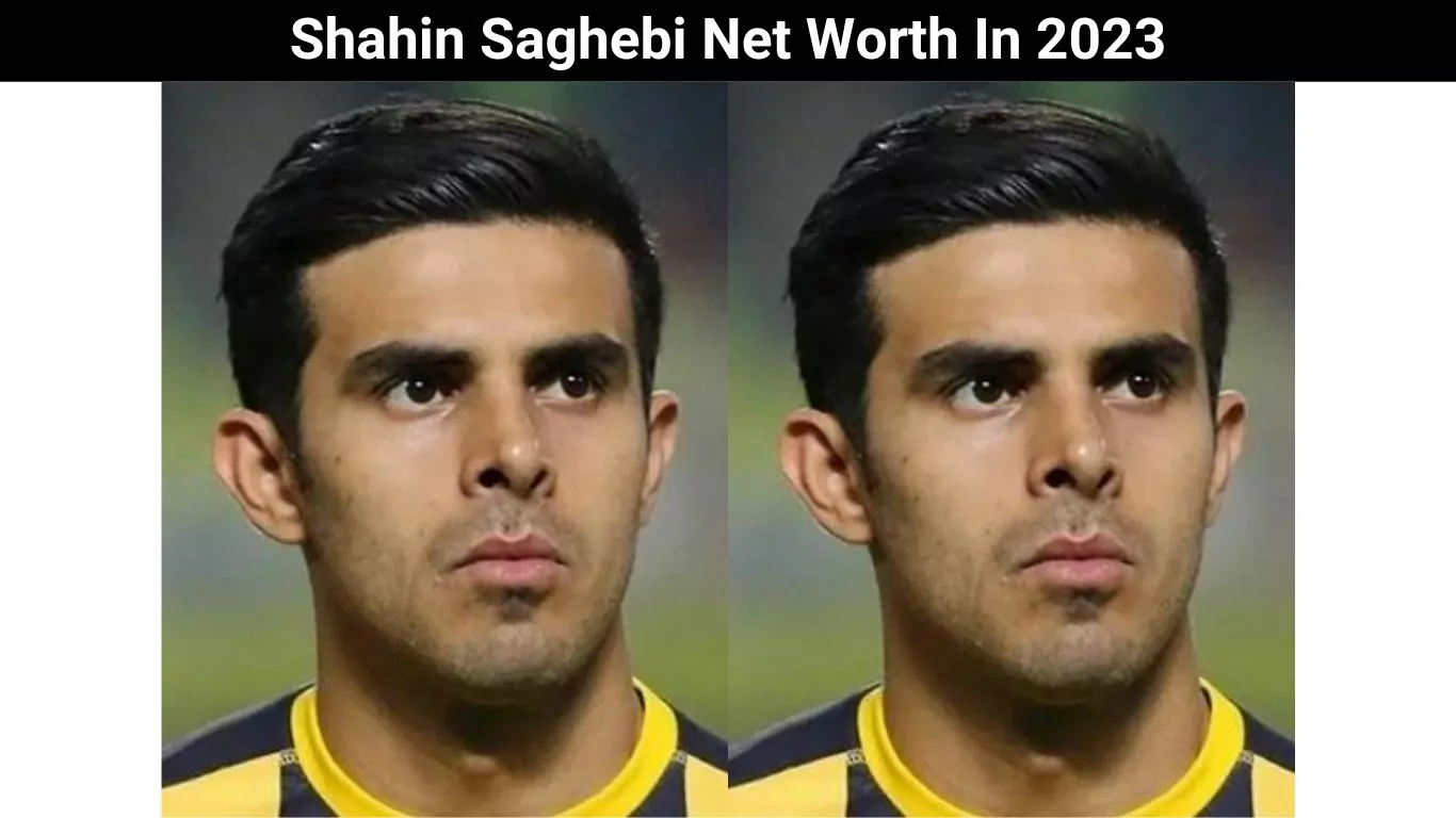 Shahin Saghebi Net Worth In 2023