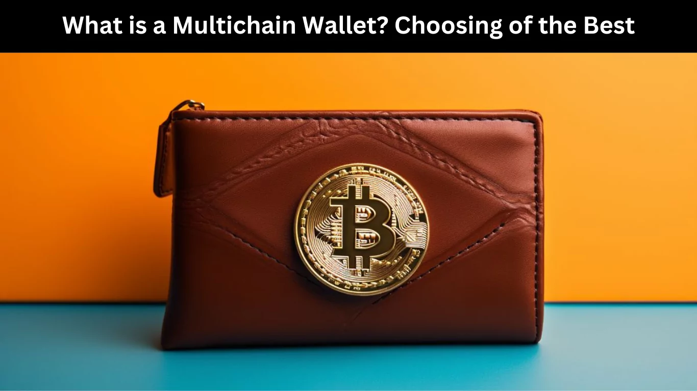 What is a Multichain Wallet