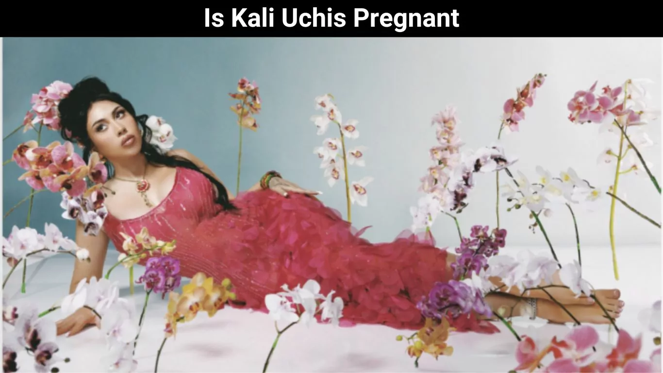 Is Kali Uchis Pregnant