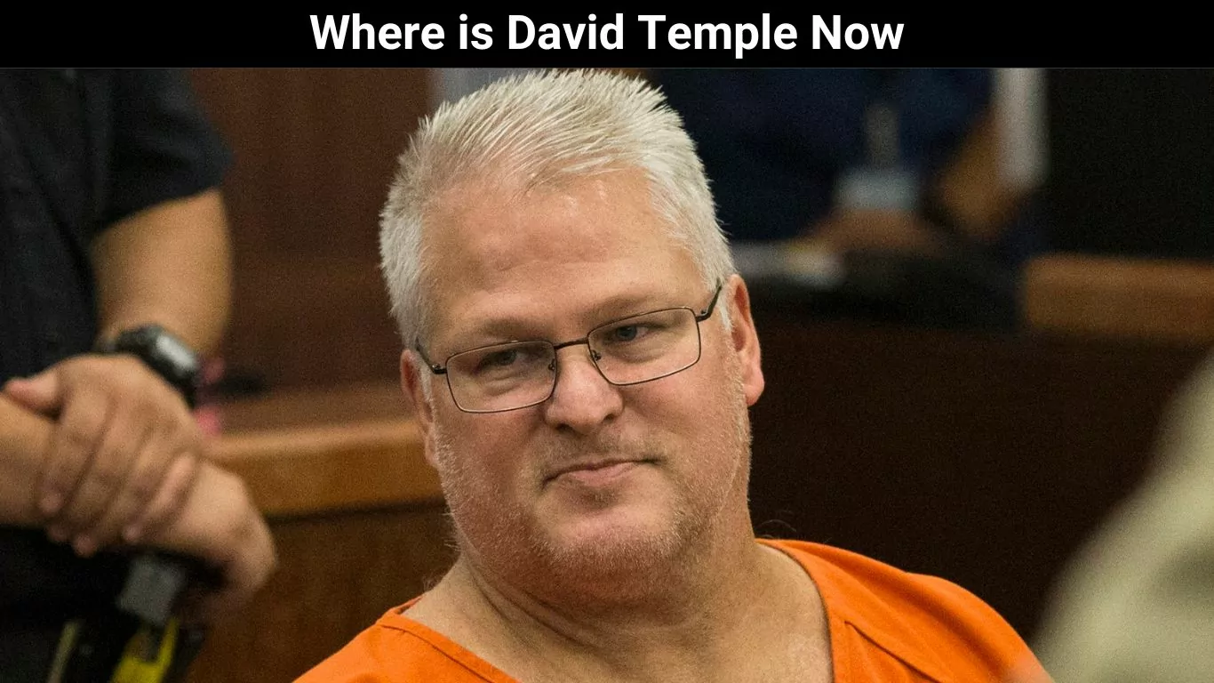 Where is David Temple Now