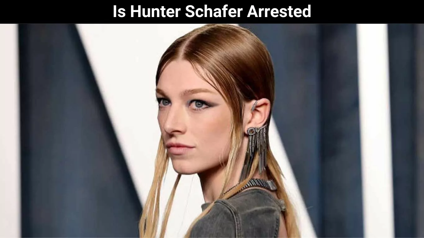 Is Hunter Schafer Arrested