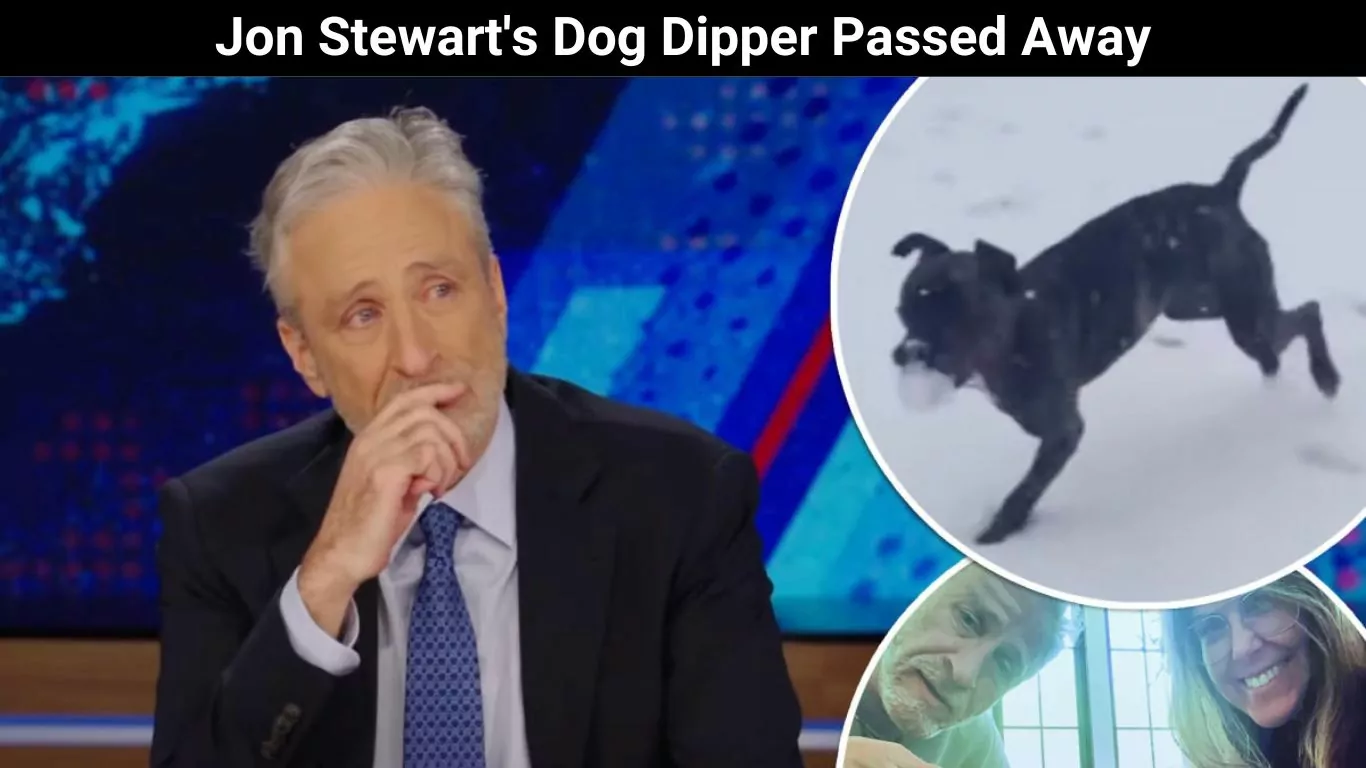 Jon Stewart's Dog Dipper Passed Away