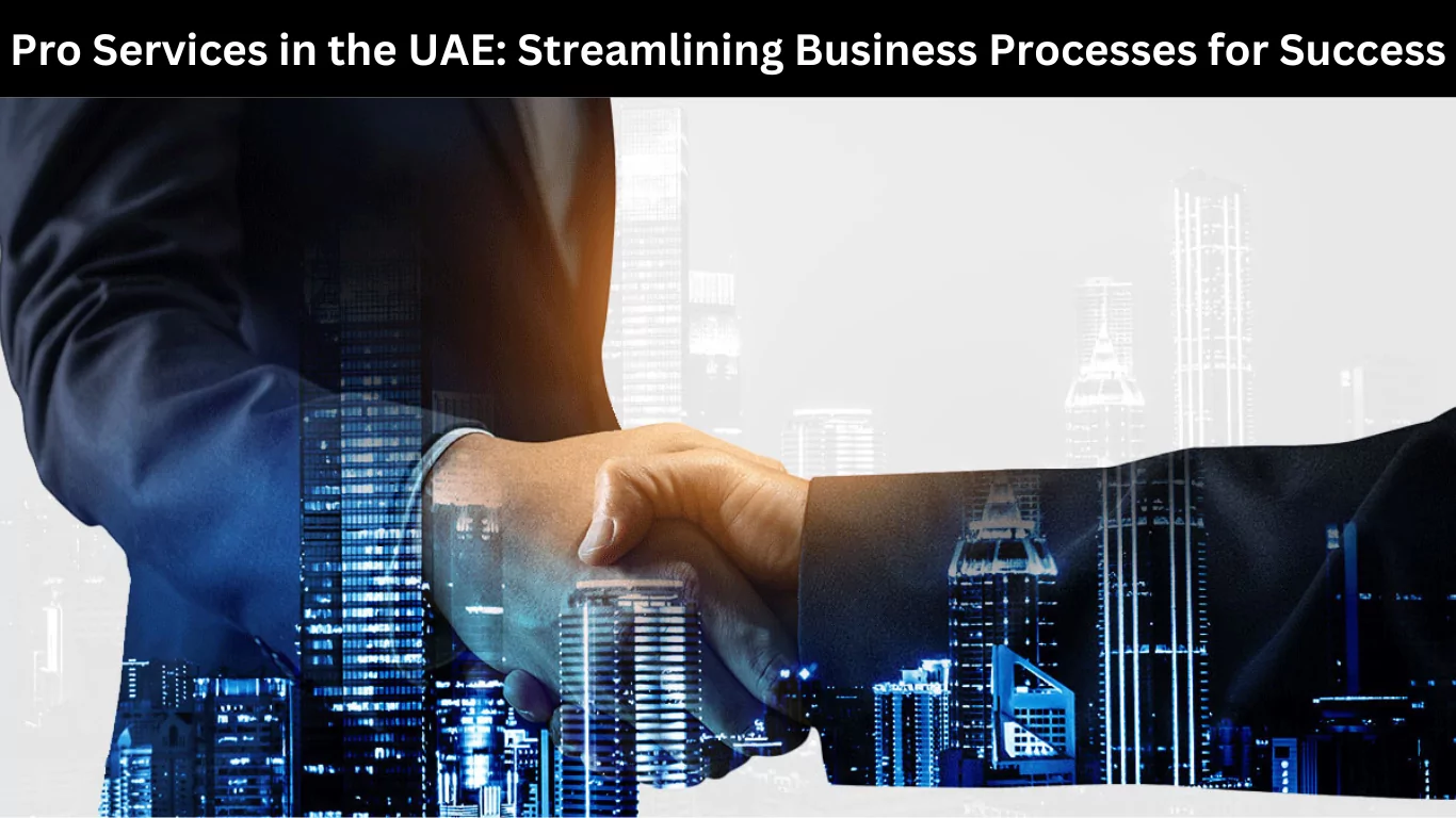 Pro Services in the UAE