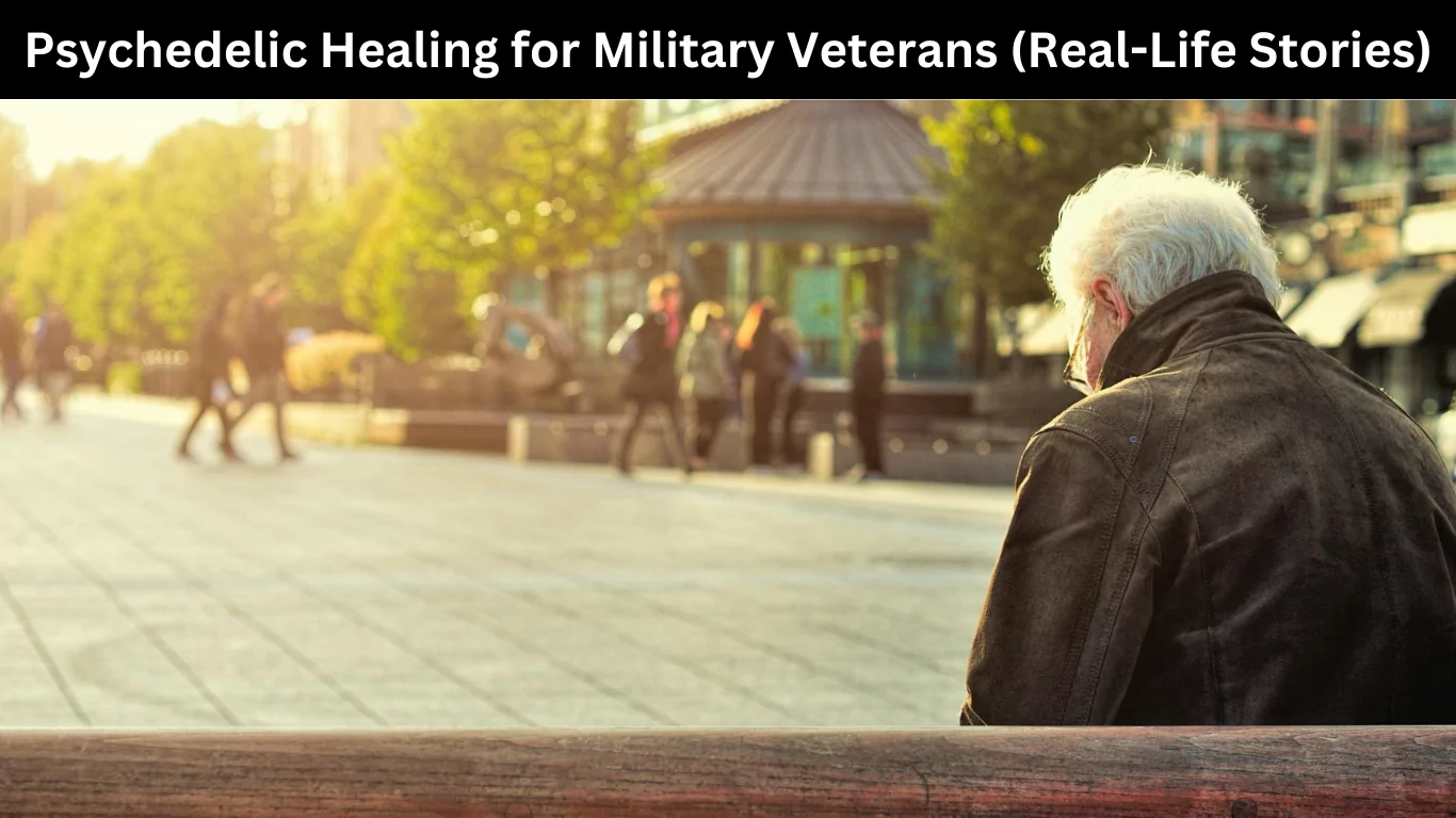 Psychedelic Healing for Military Veterans (Real-Life Stories)